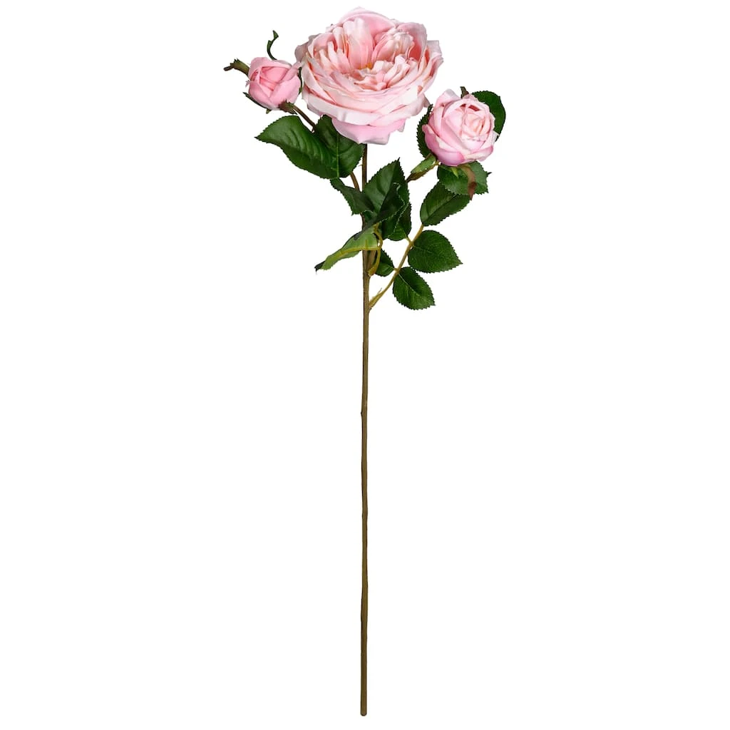 Hot Sale 🎉 Light Pink English Rose Stem by Ashland® ⭐ 3 Hot Sale 🎉 Light Pink English Rose Stem by Ashland® ⭐