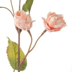 New ❤️ Blush Hops Stem by Ashland® 🔥 -Ashland Shop 10461606 20