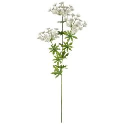 Flash Sale ✨ 12 Pack: White Queen Anne's Lace Spray by Ashland® ✨