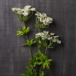 Discount 😉 White Queen Anne's Lace Spray by Ashland® 🔥 -Ashland Shop 10461649 22