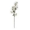 Cheap 😍 White Mini ✨ Dogwood Stem by Ashland® ⭐ -Ashland Shop 10461654 21