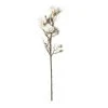 Cheapest 🛒 White Magnolia Branch Stem by Ashland® 💯 -Ashland Shop 10468846 21