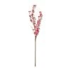 Brand new ❤️ Peach Blossom Stem by Ashland® ❤️ -Ashland Shop 10468899 21