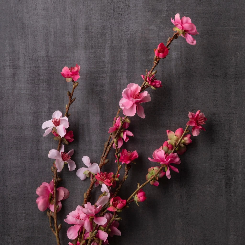 Brand new ❤️ Peach Blossom Stem by Ashland® ❤️ 4 Brand new ❤️ Peach Blossom Stem by Ashland® ❤️ - Image 2