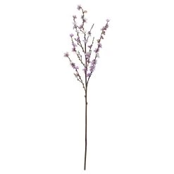 Best deal ⭐ 12 Pack: Lavender Peach Blossom Spray by Ashland® ⭐