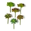 Wholesale 😉 Assorted Snap-On Succulent Pick By Ashland® 🔔