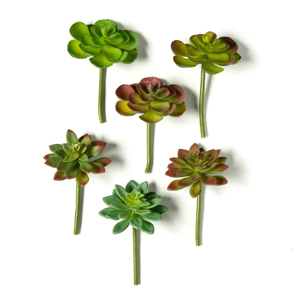 Wholesale 😉 Assorted Snap-On Succulent Pick By Ashland® 🔔 3 Wholesale 😉 Assorted Snap-On Succulent Pick By Ashland® 🔔