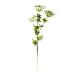 Best deal ⭐ Queen Anne's Lace Spray by Ashland® 😍
