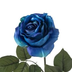 Coupon 🎁 Navy Rose Stem by Ashland® 🎁 -Ashland Shop 10501505 20