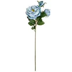 Coupon 🎉 12 Pack: Teal English Rose Stem by Ashland® 🎉
