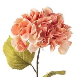 Best Sale 👏 Coral Two-Toned Hydrangea Stem by Ashland® 🎁 -Ashland Shop 10501508 20
