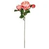 Discount ✔️ Coral English Rose Stem by Ashland® ✨ -Ashland Shop 10501509