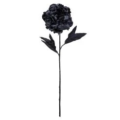 New ⌛ 12 Pack: Black Peony Stem by Ashland® 🎉