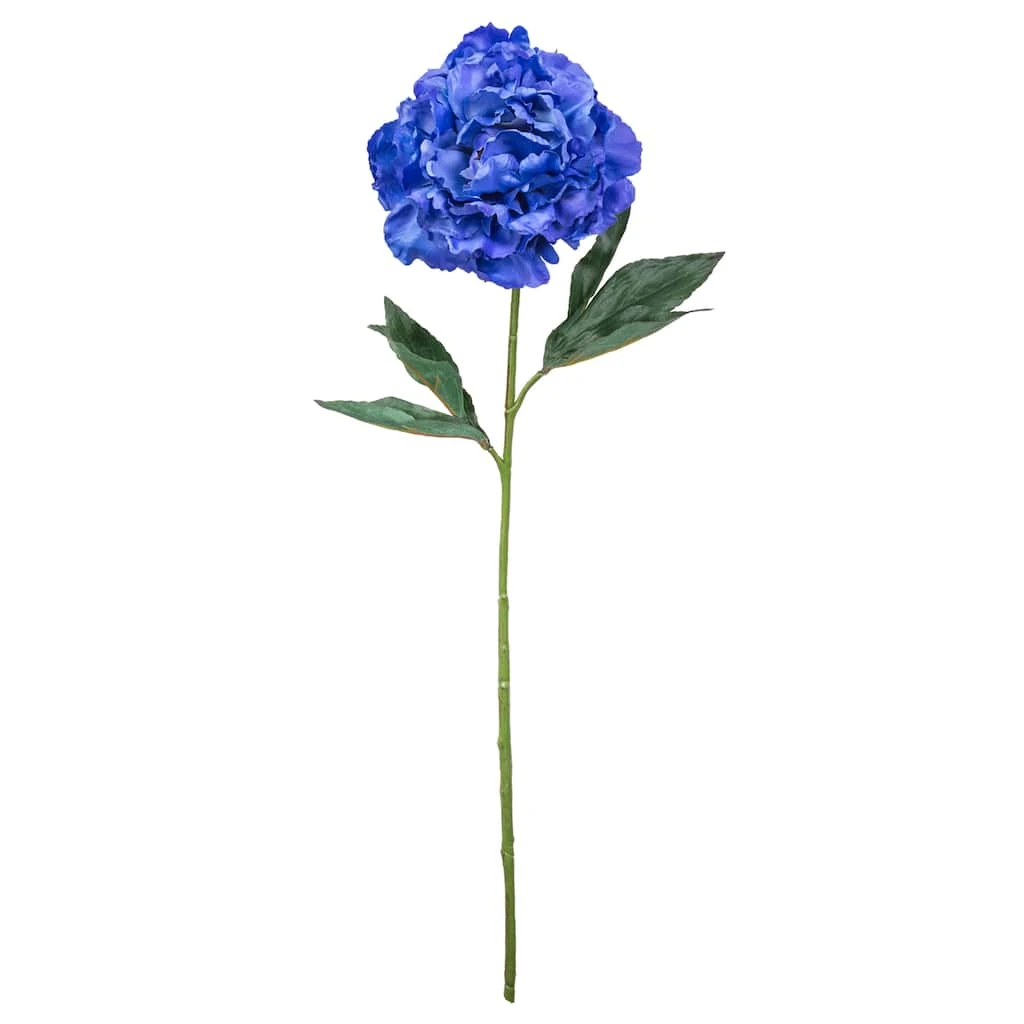 New ⌛ Peony Stem by Ashland® 🤩 3 New ⌛ Peony Stem by Ashland® 🤩