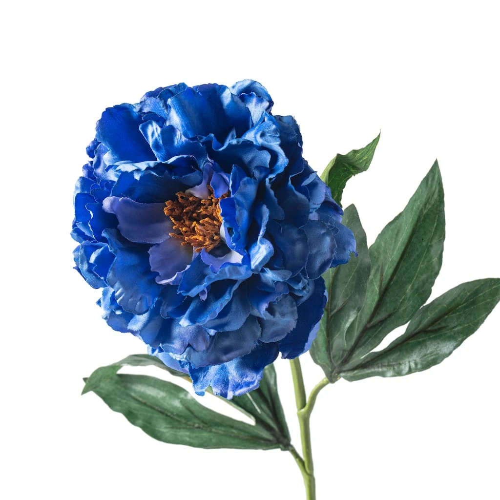 New ⌛ Peony Stem by Ashland® 🤩 5 New ⌛ Peony Stem by Ashland® 🤩 - Image 3