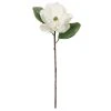 Cheapest ⌛ White Magnolia Stem by Ashland® ⌛ -Ashland Shop 10501956