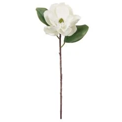 Cheapest ⌛ White Magnolia Stem by Ashland® ⌛