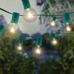 Best reviews of ⭐ 16ct. Round G40 Bulb String Lights by Ashland™ 🔔 9 Best reviews of ⭐ 16ct. Round G40 Bulb String Lights by Ashland™ 🔔 -Ashland Shop 10502272 2