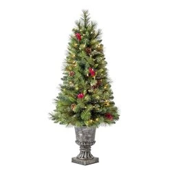 Discount 🔥 4ft. Pre-Lit Verona Artificial Christmas Tree, Clear Lights by Ashland® 👏