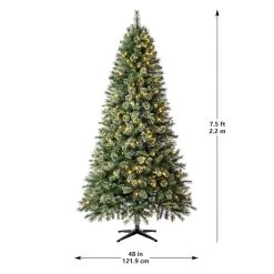 Hot Sale 🌟 7.5ft. Pre-Lit Augusta Pine Artificial ❄ Christmas Tree, Color Changing LED Lights by Ashland® 🤩 24 Hot Sale 🌟 7.5ft. Pre-Lit Augusta Pine Artificial ❄ Christmas Tree, Color Changing LED Lights by Ashland® 🤩 -Ashland Shop 10524538 22