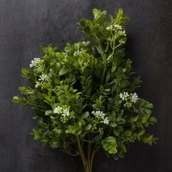 Coupon ❤️ Boxwood & Berry Bush by Ashland® 💯 -Ashland Shop 10546917 22