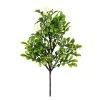 Top 10 π₯ Boxwood Pick By Ashland® π 1 Top 10 π₯ Boxwood Pick By Ashland® π -Ashland Shop 10546920 1