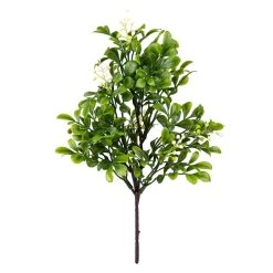 Top 10 🔥 Boxwood Pick By Ashland® 🛒