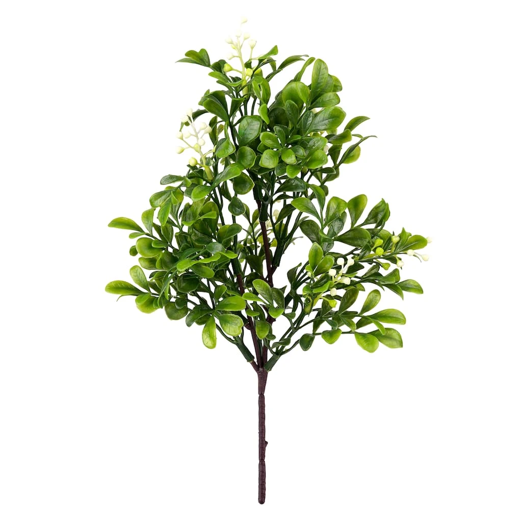 Top 10 🔥 Boxwood Pick By Ashland® 🛒 3 Top 10 🔥 Boxwood Pick By Ashland® 🛒