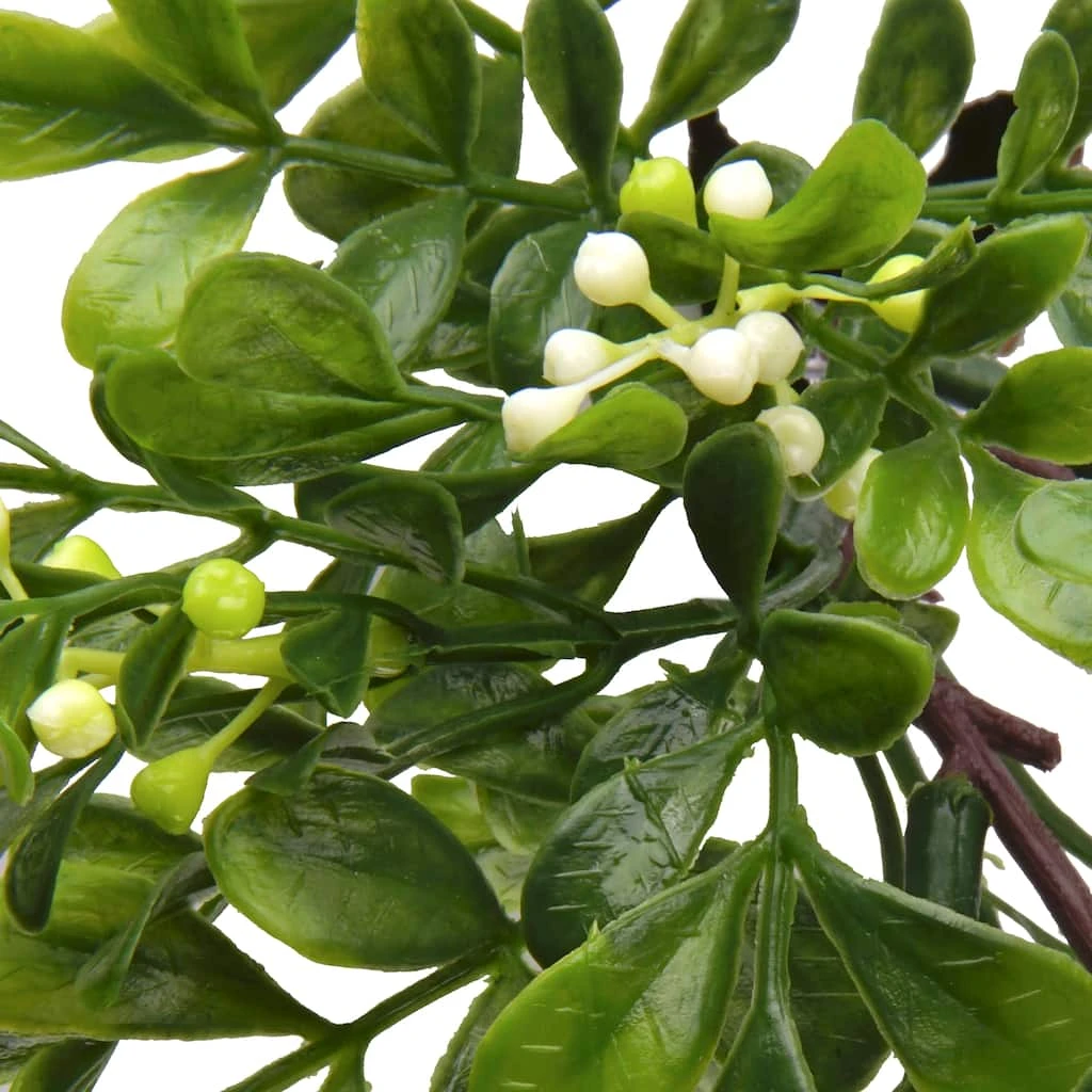 Top 10 🔥 Boxwood Pick By Ashland® 🛒 4 Top 10 🔥 Boxwood Pick By Ashland® 🛒 - Image 2