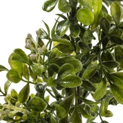 Top 10 🔥 Boxwood Pick By Ashland® 🛒 9 Top 10 🔥 Boxwood Pick By Ashland® 🛒 -Ashland Shop 10546920 20