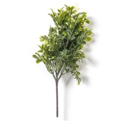 Top 10 🔥 Boxwood Pick By Ashland® 🛒 10 Top 10 🔥 Boxwood Pick By Ashland® 🛒 -Ashland Shop 10546920 21