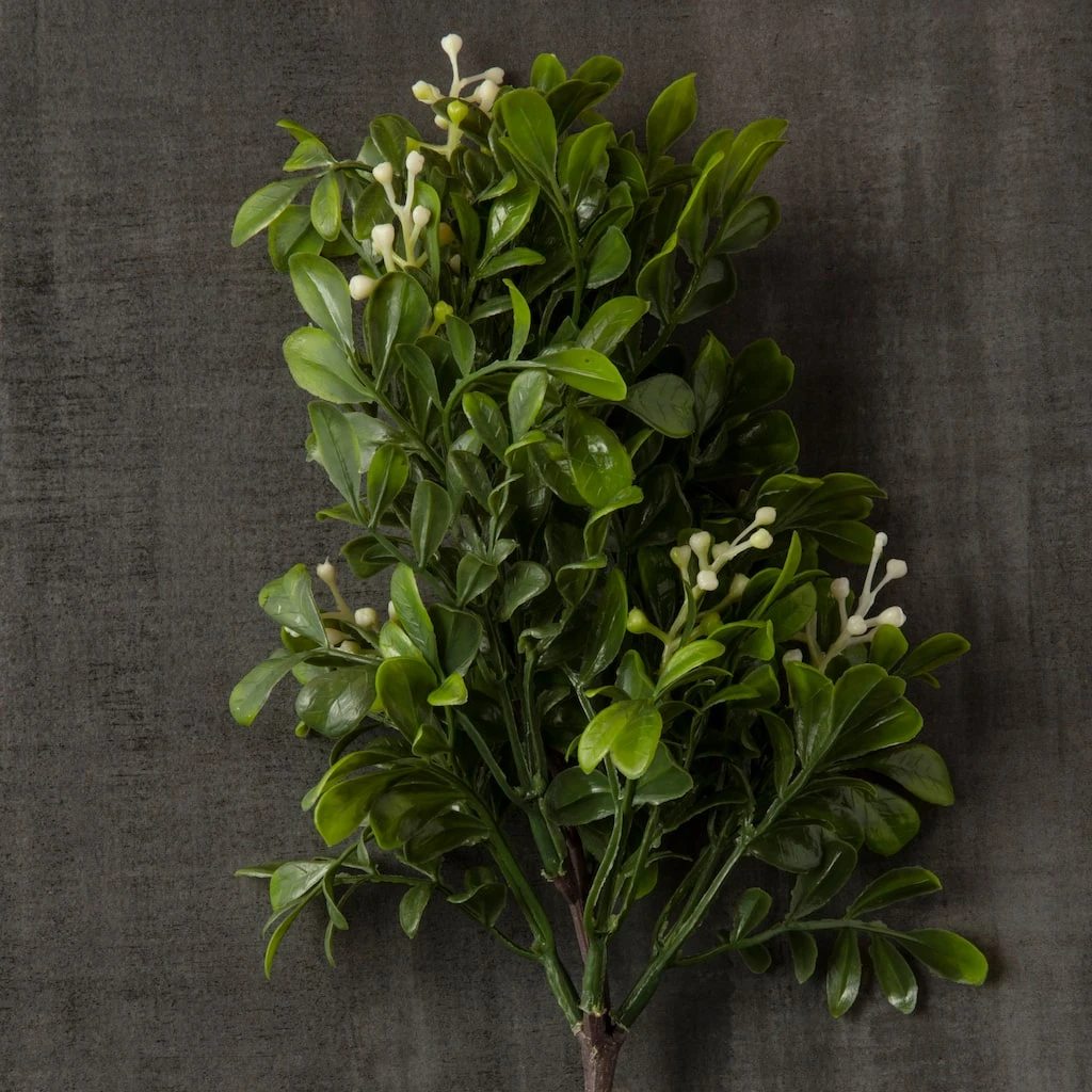 Top 10 🔥 Boxwood Pick By Ashland® 🛒 7 Top 10 🔥 Boxwood Pick By Ashland® 🛒 - Image 5