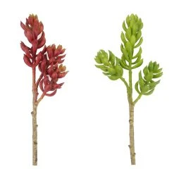 Flash Sale 😍 24 Pack: Assorted 3 Head Succulent Pick by Ashland® ✨