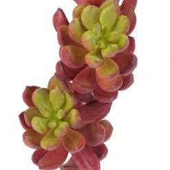 Brand new 🤩 Assorted Succulent Pick with 3 Heads By Ashland® ⌛ -Ashland Shop 10546921 2