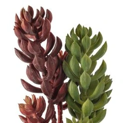 Brand new 🤩 Assorted Succulent Pick with 3 Heads By Ashland® ⌛ -Ashland Shop 10546921 20