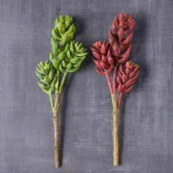 Brand new 🤩 Assorted Succulent Pick with 3 Heads By Ashland® ⌛ -Ashland Shop 10546921 22