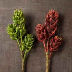 Brand new 🤩 Assorted Succulent Pick with 3 Heads By Ashland® ⌛ -Ashland Shop 10546921 25