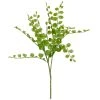 Coupon 🥰 Assorted Fern Pick By Ashland® ❤️ 1 Coupon 🥰 Assorted Fern Pick By Ashland® ❤️ -Ashland Shop 10546923 1