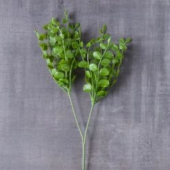 Coupon 🥰 Assorted Fern Pick By Ashland® ❤️ -Ashland Shop 10546923 22