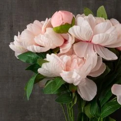 New 🥰 Coral Peony Bush by Ashland® 👏 -Ashland Shop 10547347 25