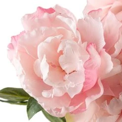 Wholesale 🎁 Pink Peony Bush by Ashland® ✔️ -Ashland Shop 10547349 20