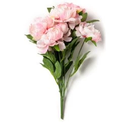 Wholesale 🎁 Pink Peony Bush by Ashland® ✔️ -Ashland Shop 10547349 21