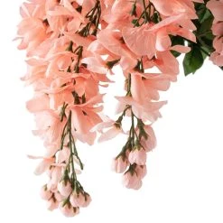 Budget 🎁 Coral Wisteria Bush by Ashland® 🧨 -Ashland Shop 10547397 20