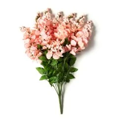 Budget 🎁 Coral Wisteria Bush by Ashland® 🧨