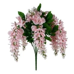 Budget 🔔 Pink Wisteria Bush by Ashland® 🛒
