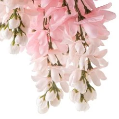Budget 🔔 Pink Wisteria Bush by Ashland® 🛒 -Ashland Shop 10547399 20
