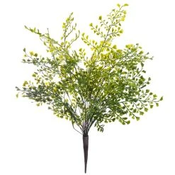 Best Pirce ❤️ Forest Fern Bush by Ashland® ✨