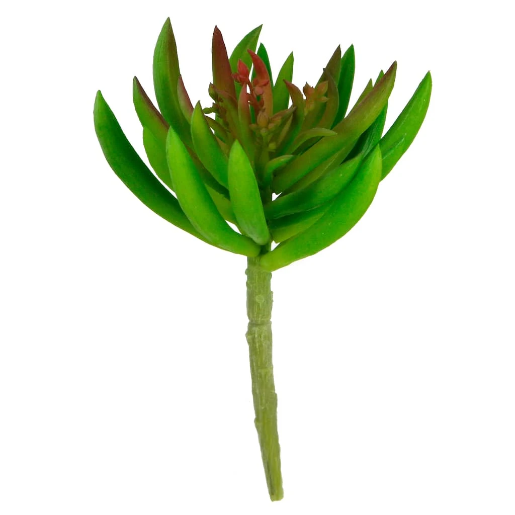 Best Sale ⭐ 12 Pack: Assorted Succulent Pick by Ashland® 😀 6 Best Sale ⭐ 12 Pack: Assorted Succulent Pick by Ashland® 😀 - Image 4