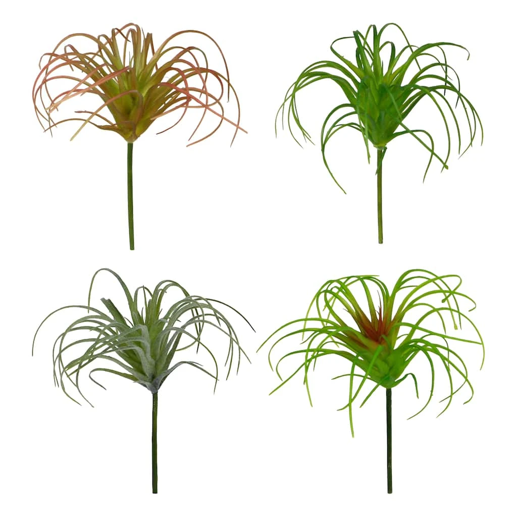 Outlet 😍 24 Pack: Assorted Tillandsia Pick by Ashland® ✔️ 3 Outlet 😍 24 Pack: Assorted Tillandsia Pick by Ashland® ✔️