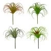 Cheap ✨ Assorted Tillandsia Pick By Ashland® 😍 -Ashland Shop 10547489